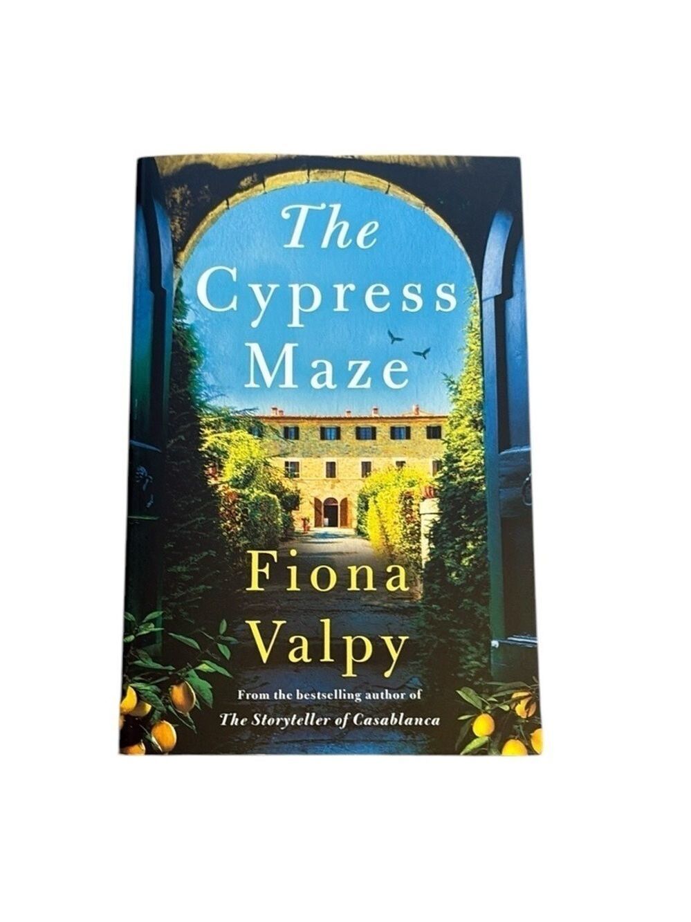 The Cypress Maze Novel by Fiona Valpy Paperback Book